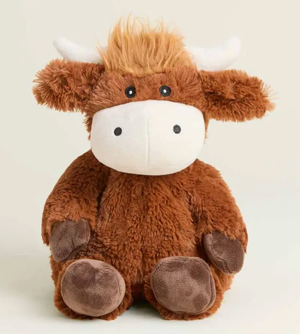 Highland Cow