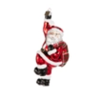 Raz Holiday Ornaments 2026