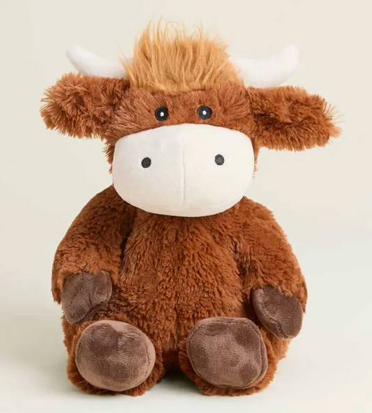 Highland Cow